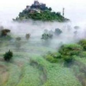 Meet your Posher, Omar